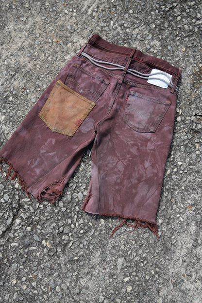 Fragment 02 Dying Star Jorts